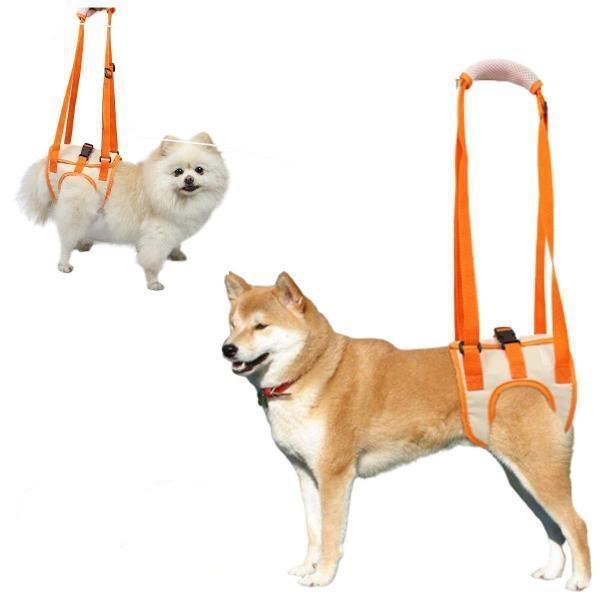 後ろ足の脚力が低下した愛犬の起き上がりや歩行を助ける「歩行補助ハーネス」です。老犬やリハビリが必要な愛犬のために、オス・メス兼用で設計されたこのハーネスは、足を通すだけのシンプルな構造で、着脱が簡単です。軽量で通気性の良い素材を使用している...