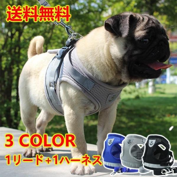 在庫限り 犬リードハーネスセット 反射シールつき 夏用 快適リラックス 中型犬小型犬用 送料無料ポイント消化