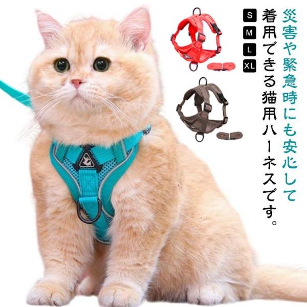 猫のハーネス ハーネス 防災 リード ャットハーネス 猫 猫 外出 胴輪 猫用コンフォートハーネス セット 猫用ハーネス 避難 散歩 ダブルロック ね