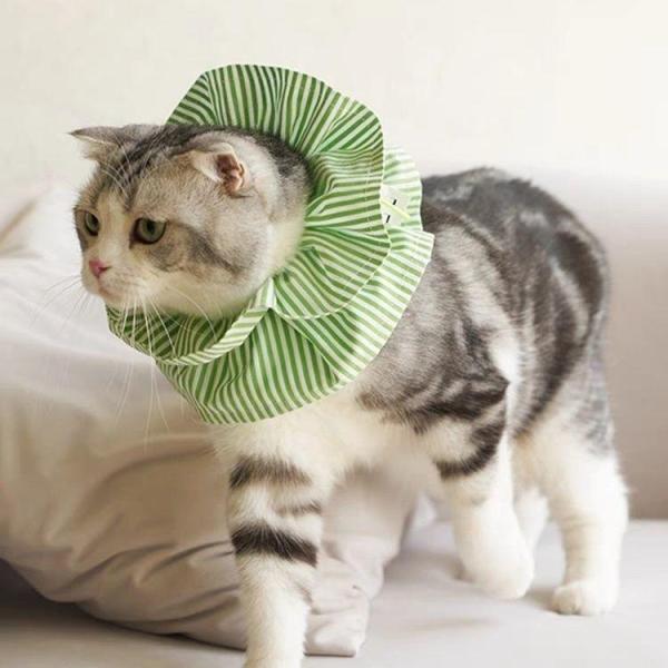 商品名:送料無料 エリザベスカラー ソフトタイプ 簡単装着 ペットエリカラ 犬用 猫用 ソフトエリザベス サイズ調整 フリル かわいい 介護 手術後ケア 怪我 去勢 避妊                            商品説明:術後...