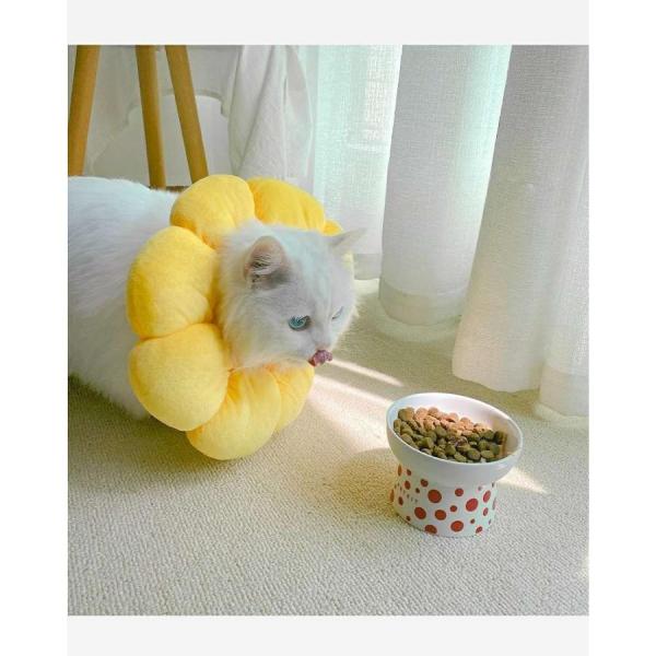 商品名:送料無料 エリザベスカラー 猫 犬 首輪 ソフトタイプ 柔らかい クリア 傷口保護 介護 手術後ケア ペット 防止 傷口 保護 手術 怪我 傷舐め 衝撃吸収 かわいい 可愛い ペット用品                       ...