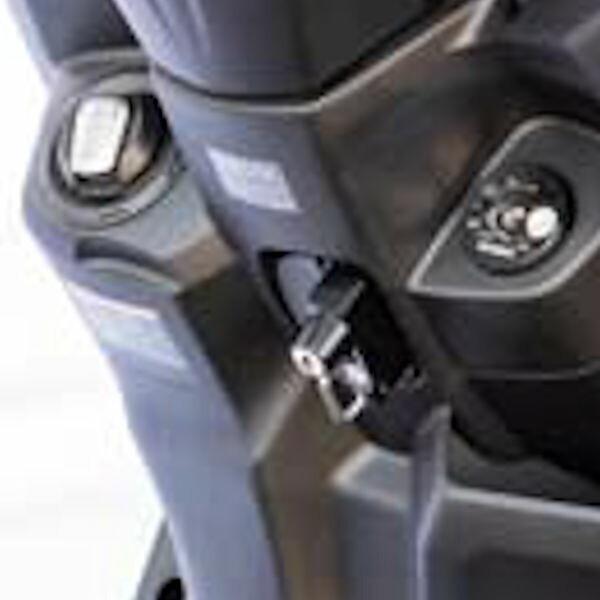 LW} KIJIMA  303-1612 wbgbN ubN }n CYGNUS GRYPHUS