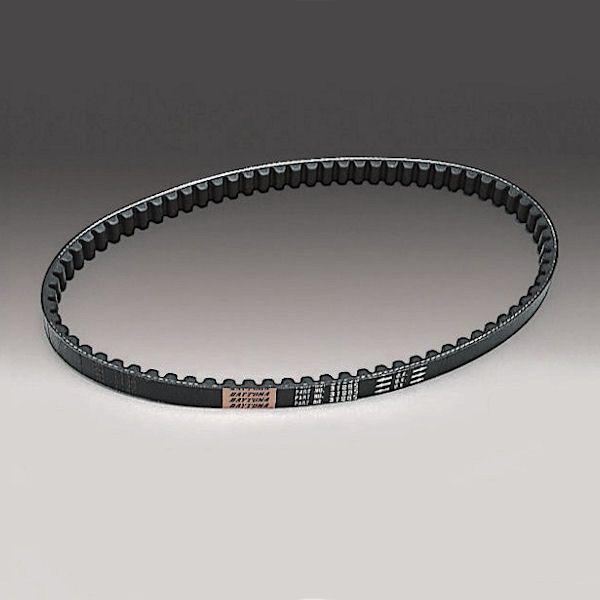 fCgi DAYTONA 31885 Vxg }n }WFXeB MAJESTY250