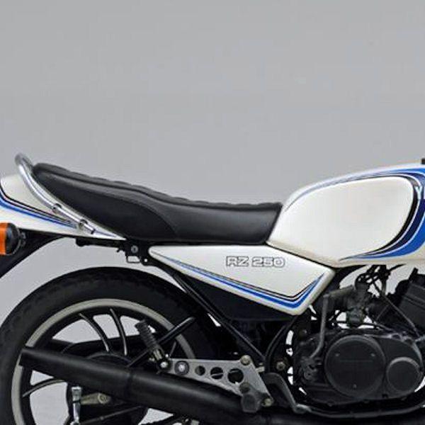 fCgi DAYTONA 73630 RIPMOV[g V[gx[X ւ^Cv p^[ }n RZ250 RZ350