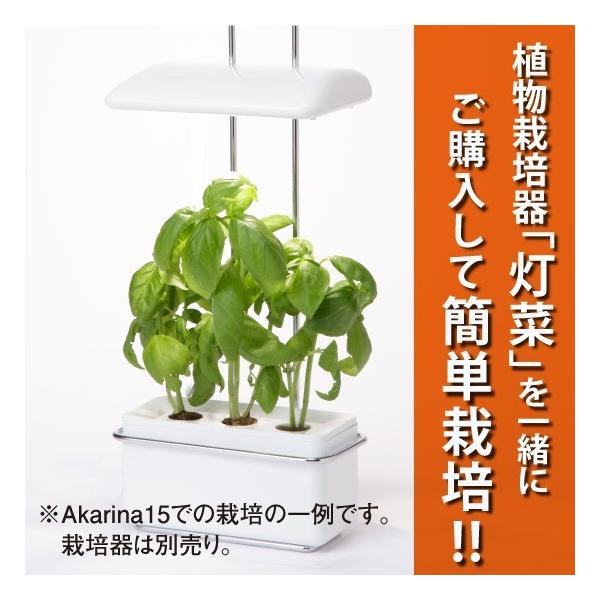 ハーブ 種 バジル 水耕栽培用種子 バジル種子約30粒 液体肥料50ml 培地スポンジ30個 定形外郵便なら送料340円 Buyee Servis Zakupok Tretim Licom Buyee Pokupajte Iz Yaponii