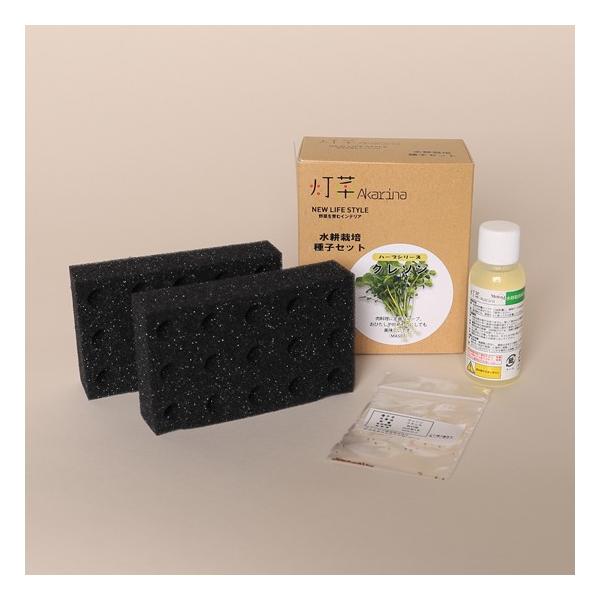 ハーブの種 クレソン水耕栽培用種子セット クレソンタネ約50粒 液体肥料50ml 培地スポンジ30個 定形外郵便なら送料340円 Buyee Buyee Japanese Proxy Service Buy From Japan Bot Online