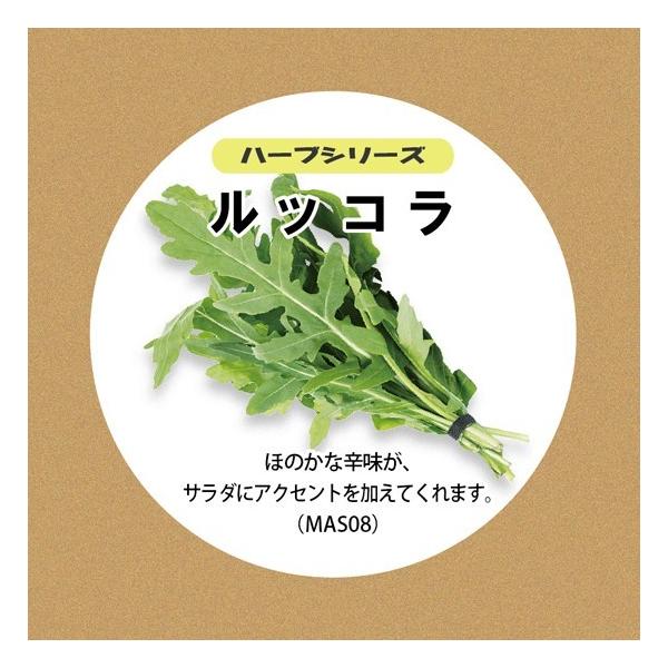 野菜のたね ハーブ種 ルッコラ栽培 水耕栽培種子セット ルッコラのタネ 液体肥料50ml 培地スポンジ 30個 定形外郵便対応 Buyee Servis Zakupok Tretim Licom Buyee Pokupajte Iz Yaponii