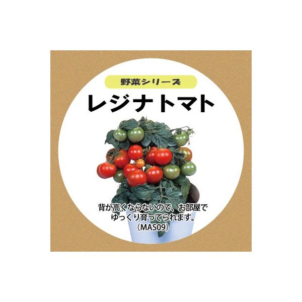 タネ 野菜 種 レジナトマト水耕栽培 種子セット たね約粒 液体肥料50ml 培地スポンジ30個 Mas09 定形外郵便なら送料340円 Buyee Buyee 日本の通販商品 オークションの代理入札 代理購入