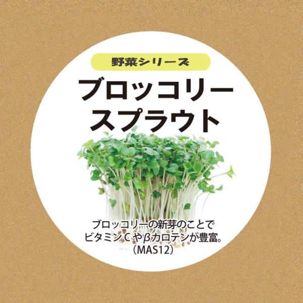 野菜の種 ブロッコリー スプラウト たね 約1g 水耕栽培用の液体肥料50ml 水耕栽培用の培地スポンジ30個 タネ 種 定形外郵便対応可能 Mas12 灯り工房モトム ヤフー店 通販 Yahoo ショッピング