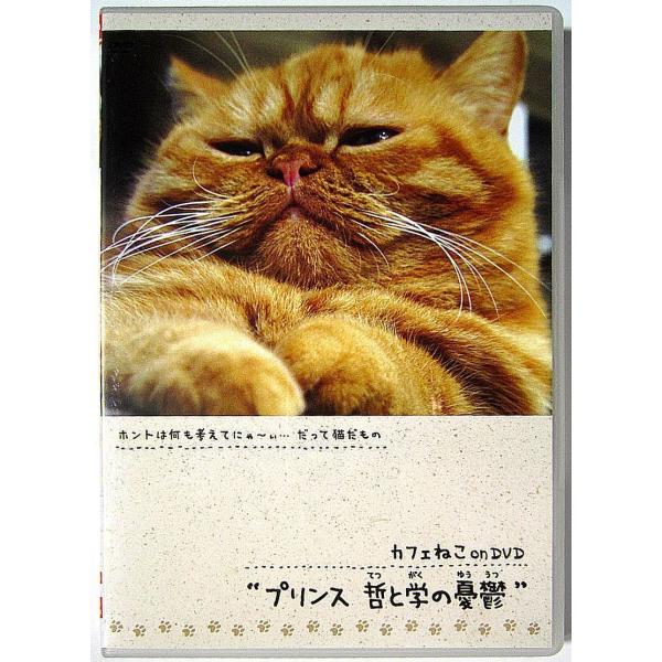国内盤DVD／2010年作品／東京・下北沢の猫カフェディスクの再生面とパッケージに少々キズあり（再生には影響ない程度です）／パッケージの背表紙に色あせあり商品は通販用に在庫確保しております。通常 注文確定日から３営業日以内にゆうパケット（日...