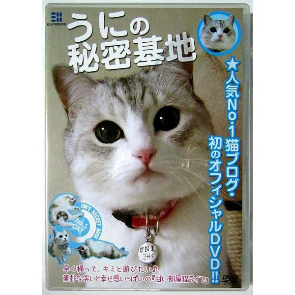 DVD／うにの秘密基地 甘い部屋猫ライフ♪ 猫ブログ人気No．1