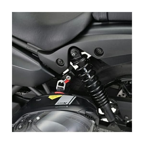 カワサキ エリミネーター/SE ヘルメットホルダー デイトナ