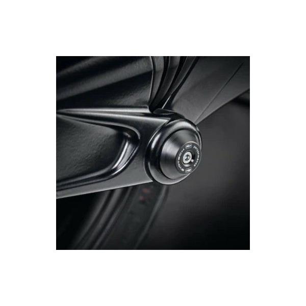 BMW R12/R12nineT スイングアームプロテクション エヴォテック