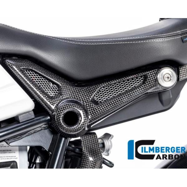 BMW R NINE T 14- カーボンリアフレームカバー 左側 イルムバーガー