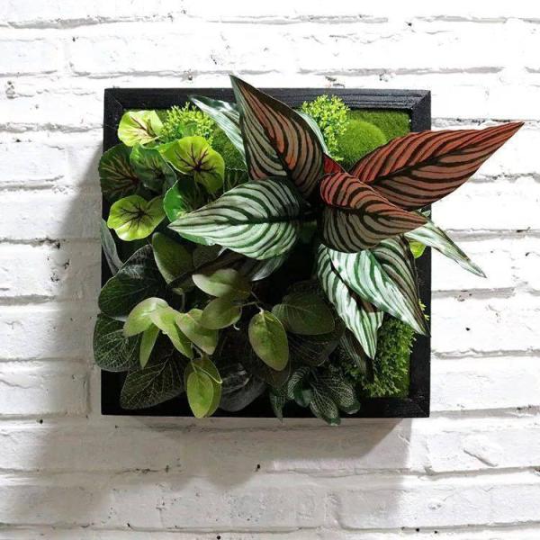 A30065 Ǐ lHϗtA Ǌ|CeA fBXvC Ǌ|~bNXO[  Ǌ|