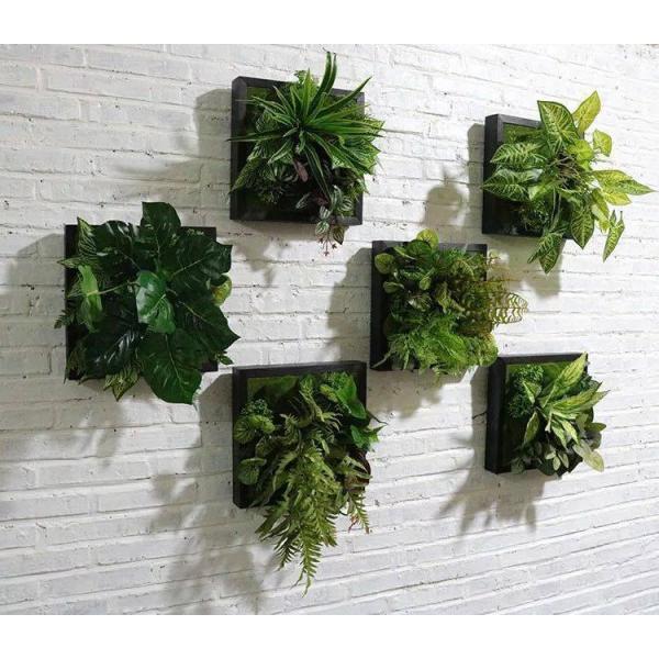 A30051 Ǐ lHϗtA Ǌ|CeA fBXvC Ǌ|~bNXO[ D Ǌ| 6_Zb