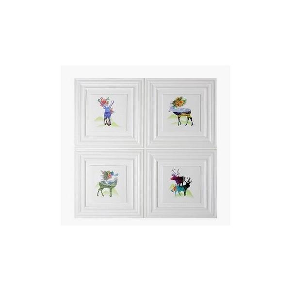 A07719 WS11-8�w�i�� 3D���̃����K�͗l�ǎ� �h�� �����h�~ �J�r�h�~�@�F�I�т܂� 30��