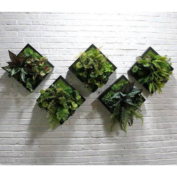 A30110 Ǐ lHϗtA Ǌ|CeA fBXvC Ǌ|~bNXO[  Ǌ| 5_Zbg