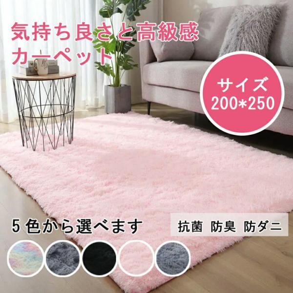 カーペット ラグマット 200*250 洗える 滑り止め付 防ダニ 抗菌 防臭