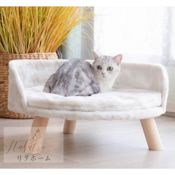 A37108 ،pxbh@Q ybg\t@^Q zc ӂӂ ybgpxbh@MTCY