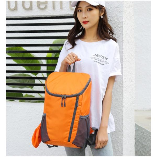 20220715-41@bN oRobO܏ WobO s [TuUbN h y h