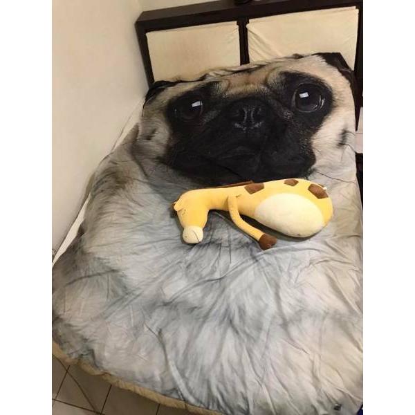 A04217  pOѕz uPbg h΍ Ђ| Ăzc120x170cm pOG