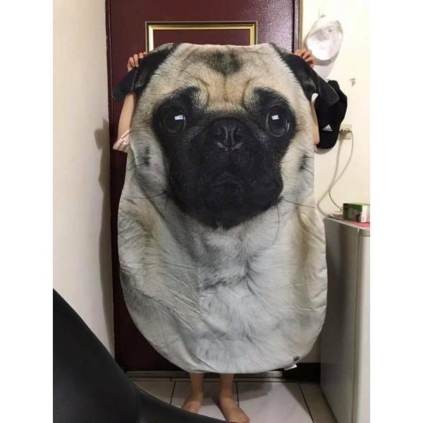 A04220  pOѕz uPbg h΍ Ђ| Ăzc80x115 pOG