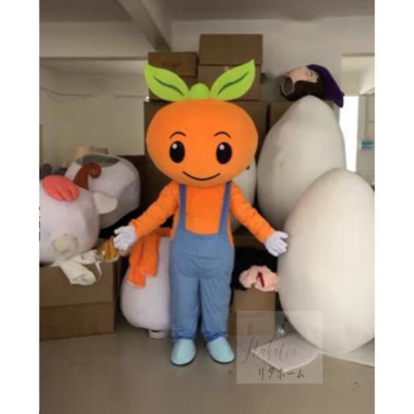 RXvߑ D lp  nEB   ݂