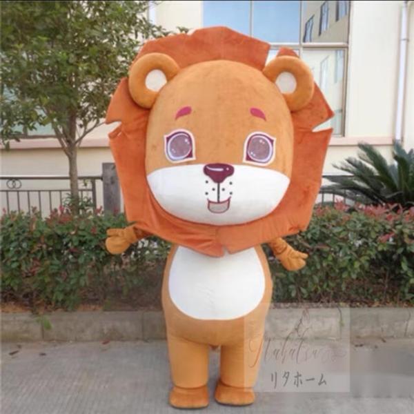 RXvߑ D lp  nEB   CI