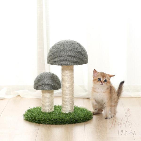 u^ Lp܂Ƃ|[ ܂Ƃ^[ ߂Ƃ gȒP x