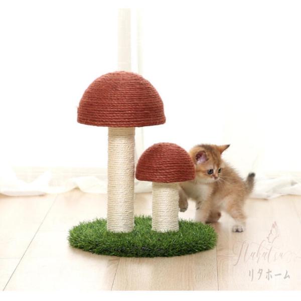 u^ Lp܂Ƃ|[ ܂Ƃ^[ ߂Ƃ gȒP x