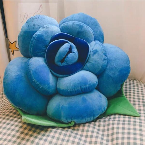 KN o @CeAG݁@ʂ݁@\t@[NbV