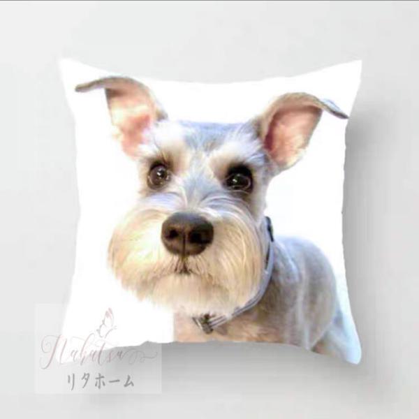 n NbV45x45cm w zc ܂  