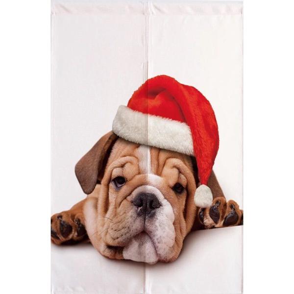 A20880 ̂ O g90x140cm pO  Ck 킢 Ԏd؂ DG