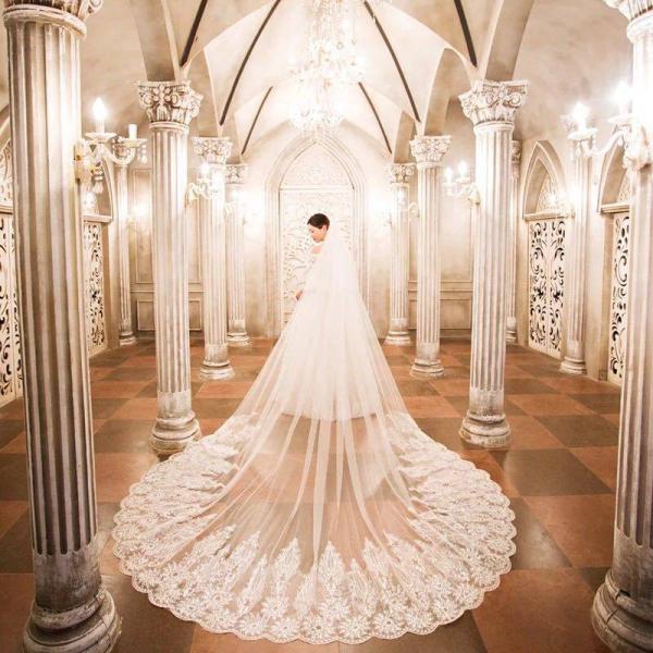 A24310 EGfBOx[ `Ox[ EFfBO [XEhJ x[UPVOK pD