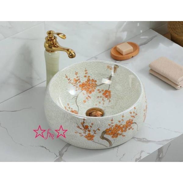 A10051 ʑ ʃ{EZbg ʃ{[  萅 D 􂢔 ʊ ֌ rt