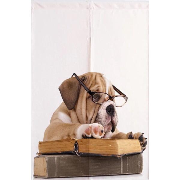 A20881 ̂ O g90x140cm pO  Ck 킢 Ԏd؂ DG