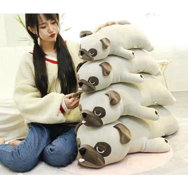 A00274 pO ʂ Q  CeA  pOG 80x32x24cm