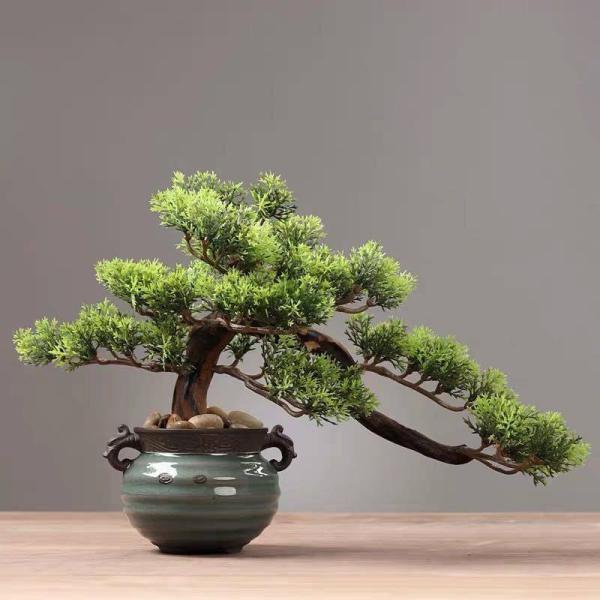 A34059 CeAO[ ͑}q~ u Tӌ}q~͑i Ԍ|p lHϗtA