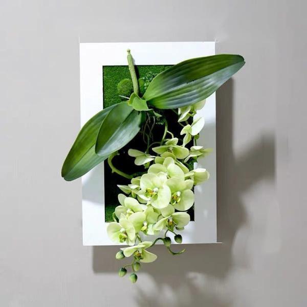 A34588 Ǐ lHϗtA Ǌ|CeA fBXvC Ǌ|~bNXO[  Ǌ|