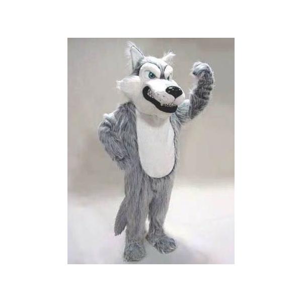 A34214 RXvߑ  lp  LN^[ nEB @T