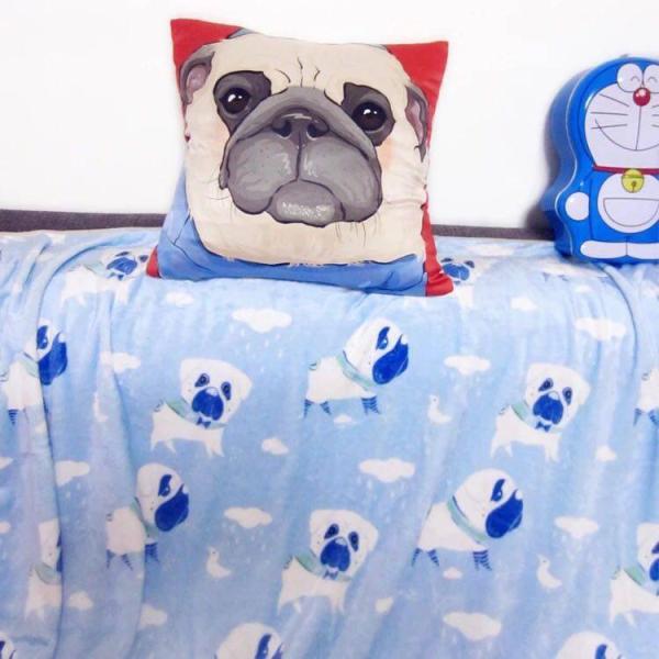 A21411  pOѕz uPbg h΍ Ђ| Ăzc80x120cm pOG