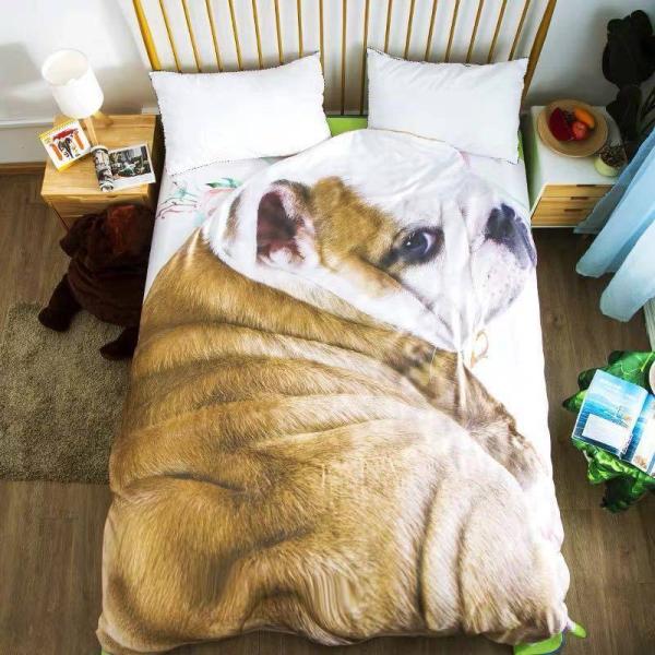 A11862  ѕz uPbg Ђ| Ăzc120x170