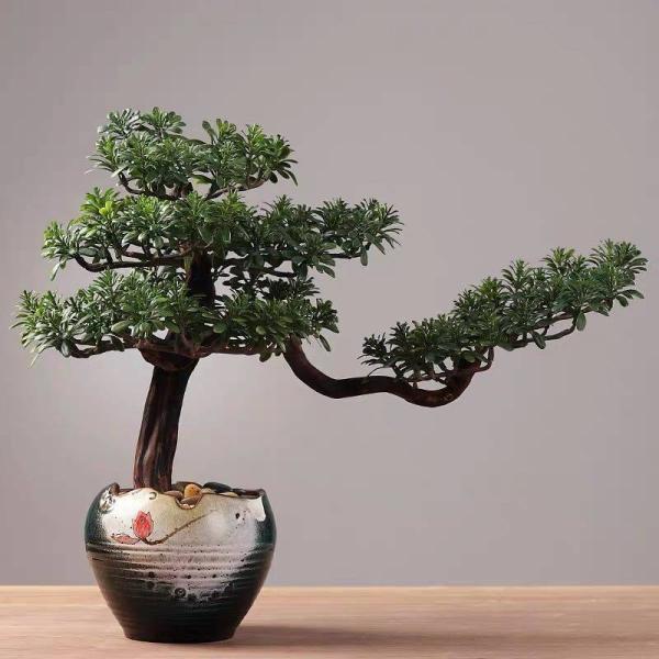 A34063 CeAO[ ͑}q~ u Tӌ}q~͑i Ԍ|p lHϗtA 