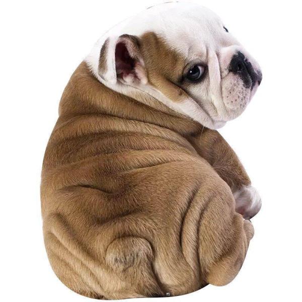 A04223  ѕz uPbg h΍ Ђ| Ăzc170x235