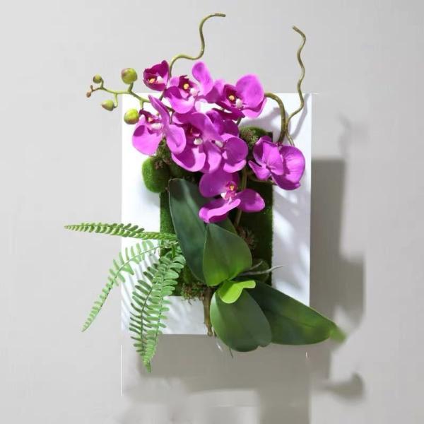 A34589 Ǐ lHϗtA Ǌ|CeA fBXvC Ǌ|~bNXO[  Ǌ|