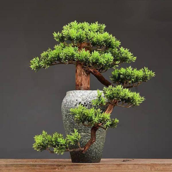 A34055 CeAO[ ͑}q~ u Tӌ}q~͑i Ԍ|p lHϗtA