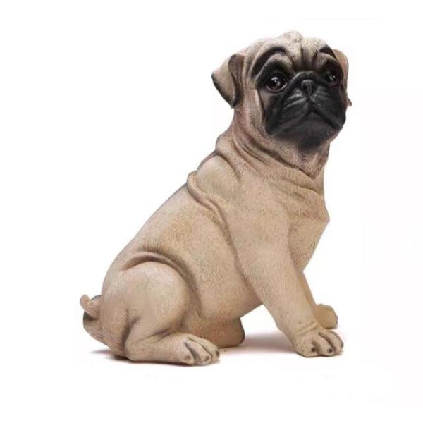 pOG pO̒u   ̏@ K  pug