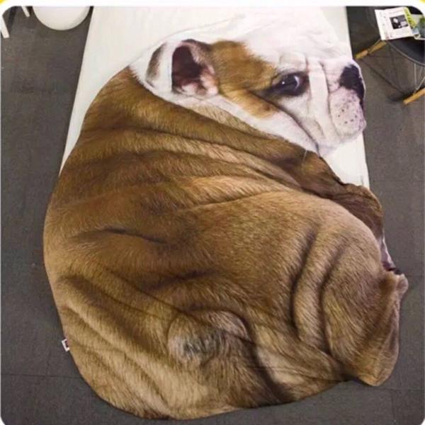 A14351  ѕz uPbg h΍ Ђ| Ăzc120x170