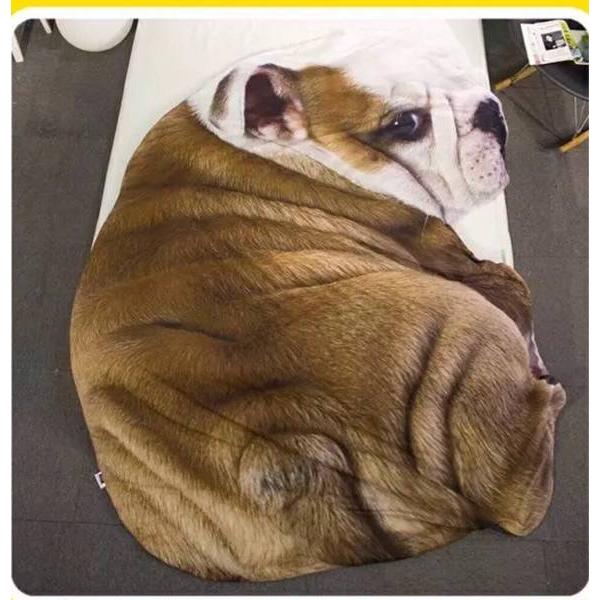 A04224  ѕz uPbg h΍ Ђ| Ăzc80x115